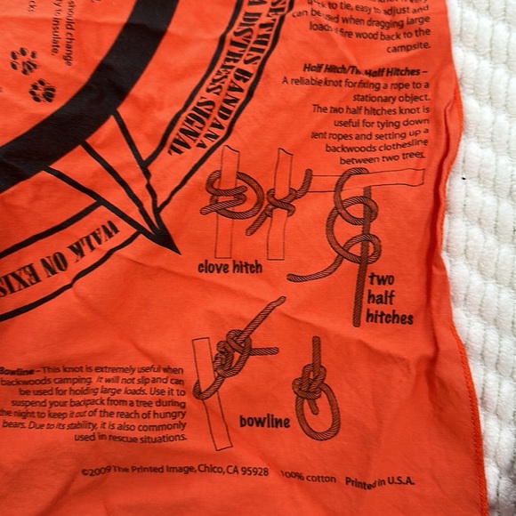 Set of four bandanas - two Disney, one Thomas the Train, one Survival Tips - Picture 10 of 16